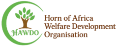 Hawdo Logo
