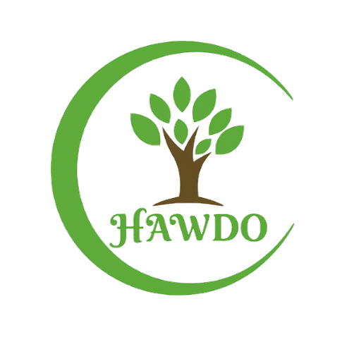 hawdo icon 512