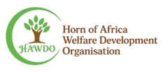 Horn of africa welfare development organization